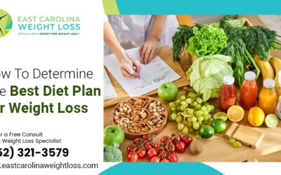 How To Determine The Best Diet Plan For Weight Loss