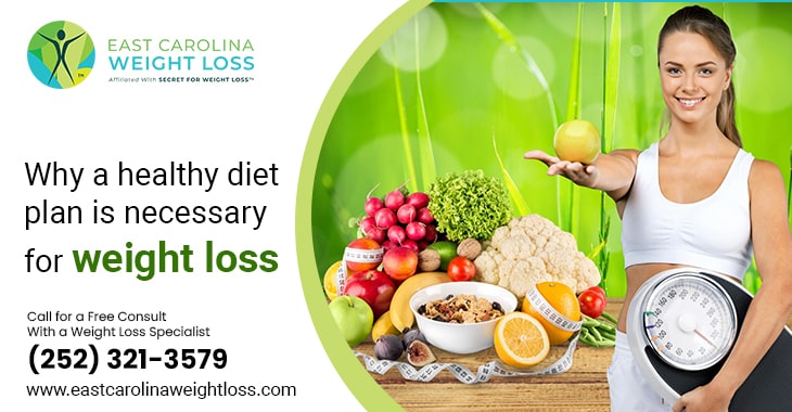 Why A Healthy Diet Plan Is Necessary For Weight Loss